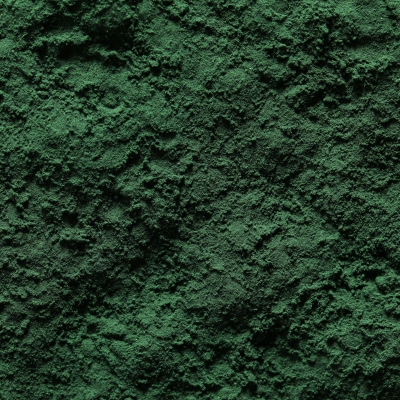 Green-lipped mussell powder