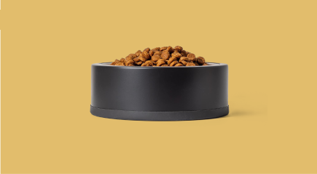 Which food is best for my cat?