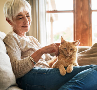 Shop for Senior Cats