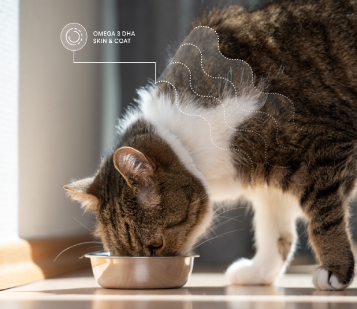 Scientific evidence in every bowl