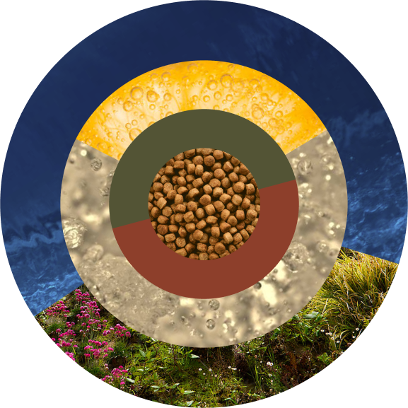 /Image%20center