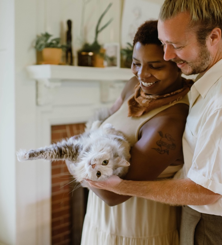 Creating a better world for pets