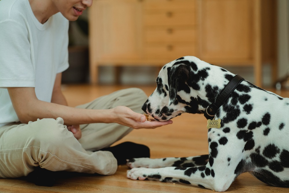 Evidence-based taste in every bite
