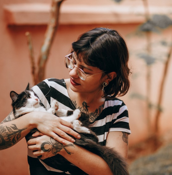 Shop for Kittens