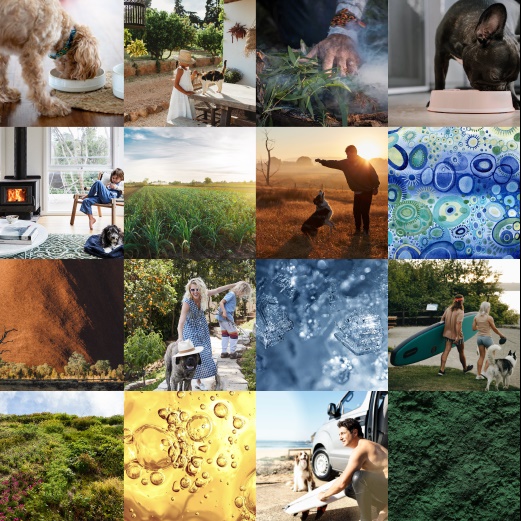 Our trusted approach to pet wellness