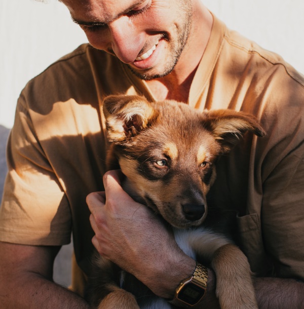 Shop for Puppies