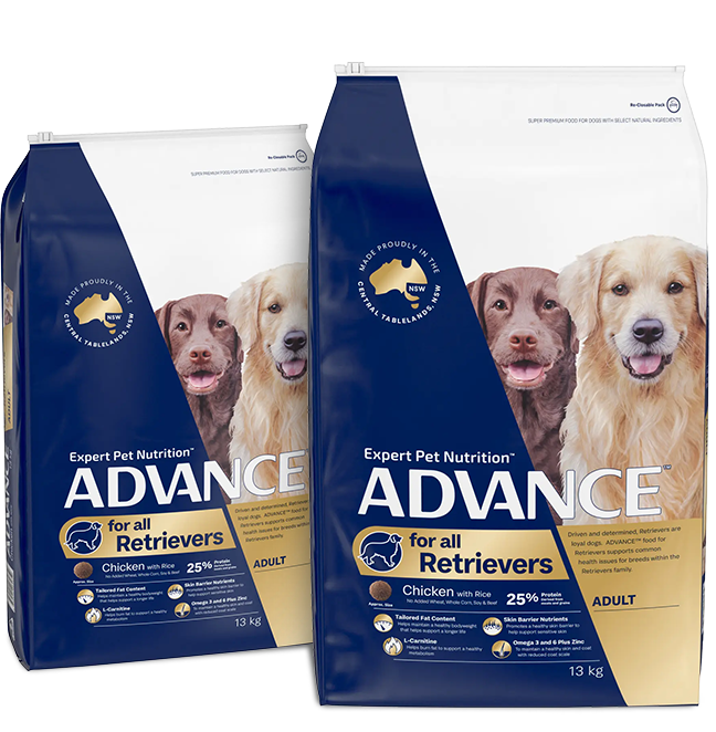 Retrievers