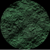 Green-lipped mussel powder