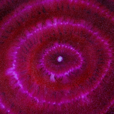 Fermentable Prebiotic Fibre