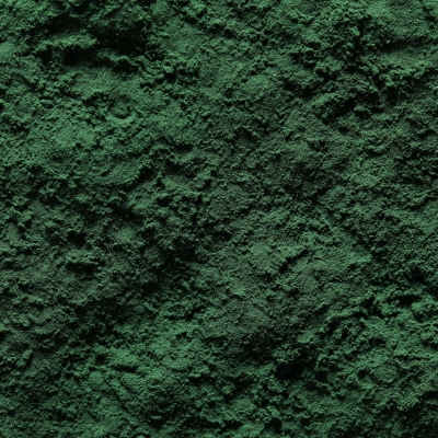 Green Lipped Muscle Powder