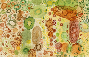 Healthy Microbiome