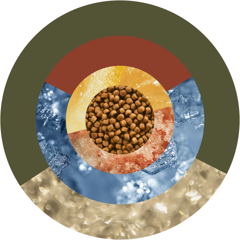 center round image